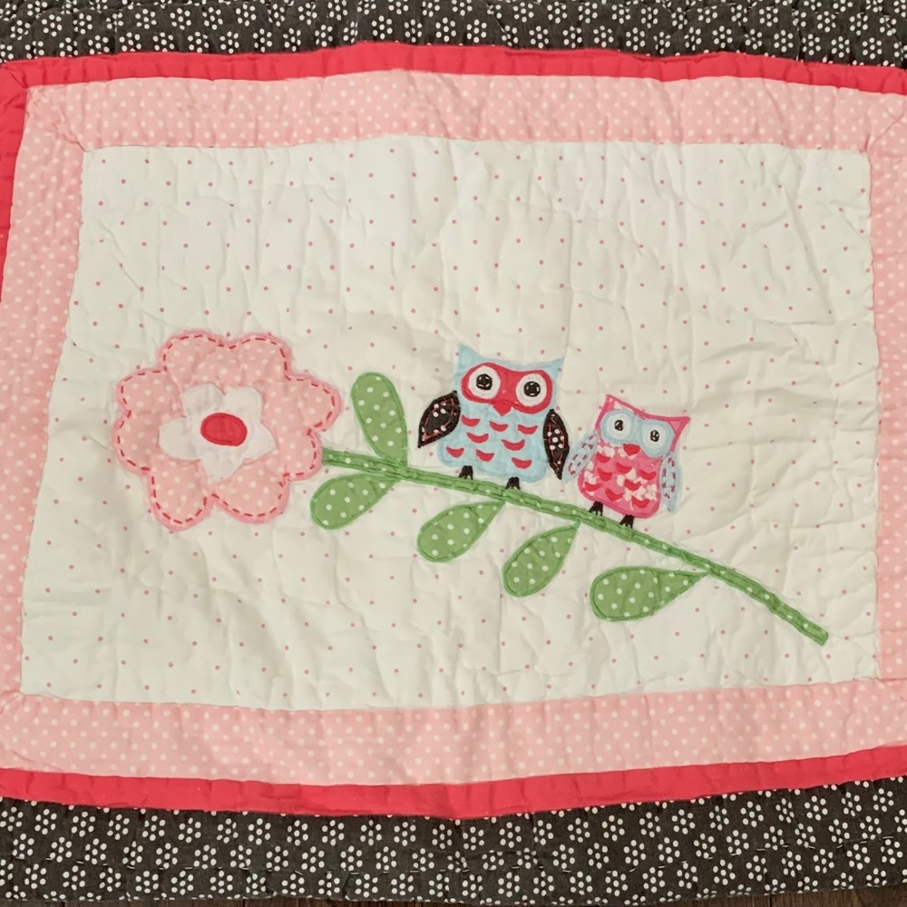 Pottery Barn Kids Pillow Shams